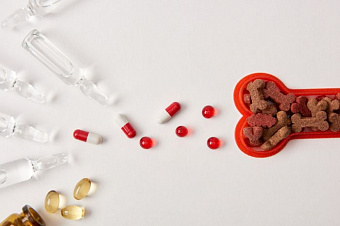 RNC Pharma сообщила об инфляции на розничном рынке ветпрепаратов по итогам июля